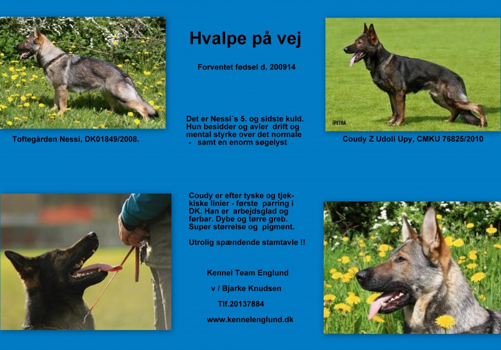 Coudy og Nessi kollage