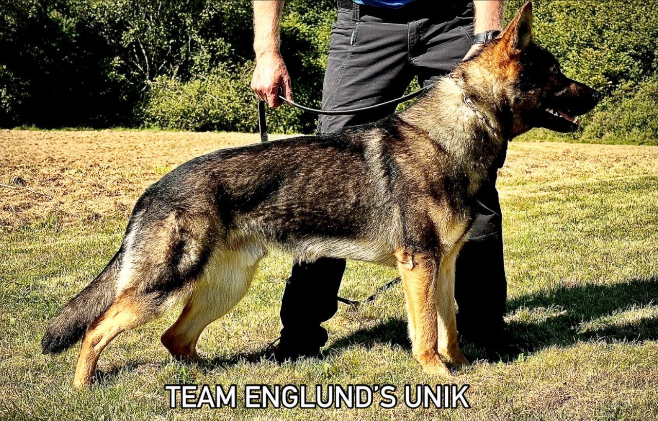 Team Englund's Unik